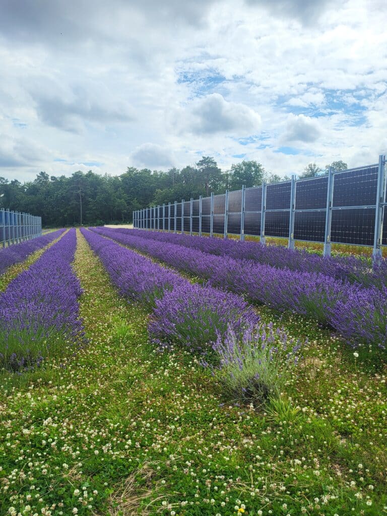 Agrivoltaïsme