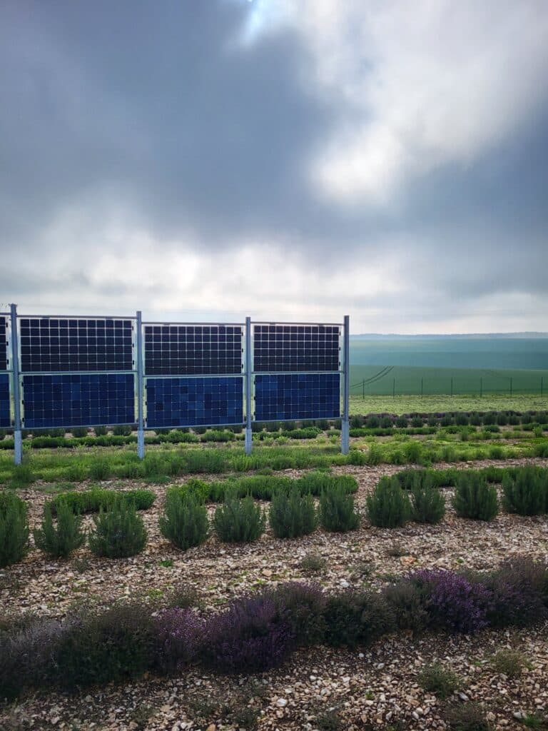 Agrivoltaïsme avantages et défis