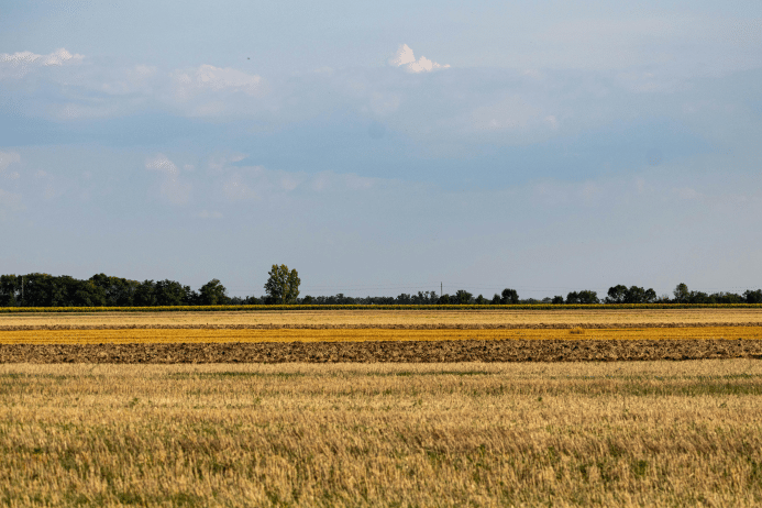 Rotation des cultures