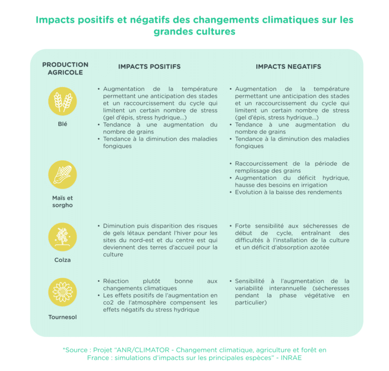 impacts des changements climatiques sur les grandes cultures