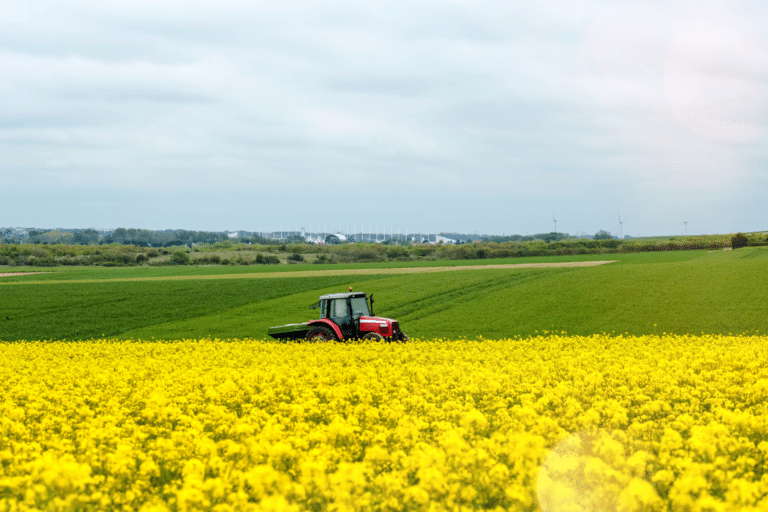 grandes cultures changement climatique